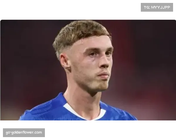 切尔西帕尔默脚趾骨折推迟复出,确定缺席欧冠关键战 切尔西帕尔默脚趾骨折推迟复出,确定缺席欧冠关键战