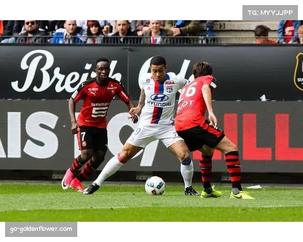 费耶诺德高位逼抢战术失稳 连续9场失球暴露防守体系漏洞 费耶诺德高位逼抢战术失稳 连续9场失球暴露防守体系漏洞